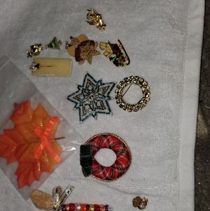 Fall brooch lot